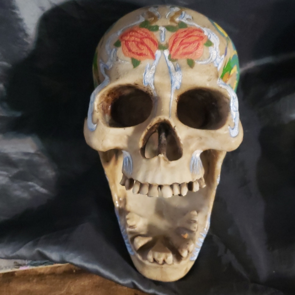 Painted Skull - Picture 2 of 8